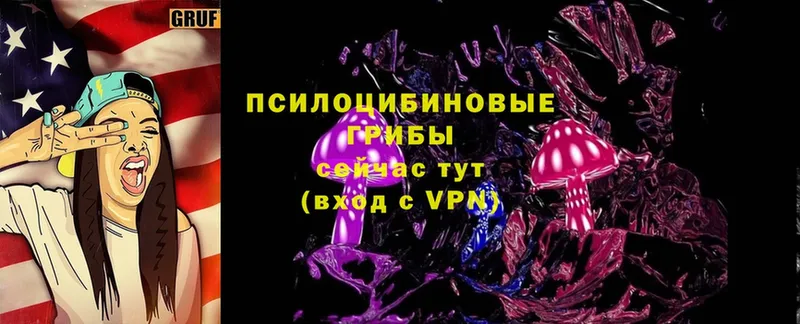 Галлюциногенные грибы Magic Shrooms  где продают наркотики  гидра сайт  Полярные Зори 