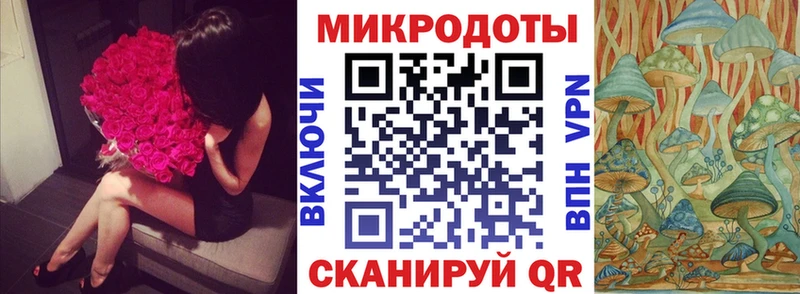купить наркоту  Полярные Зори  гидра как войти  Псилоцибиновые грибы мухоморы 